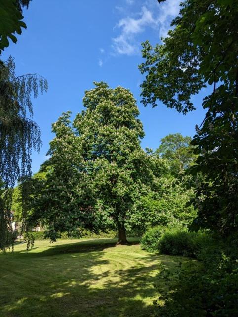 Gaestehaus Reimold Lägenhet Bebra Exteriör bild